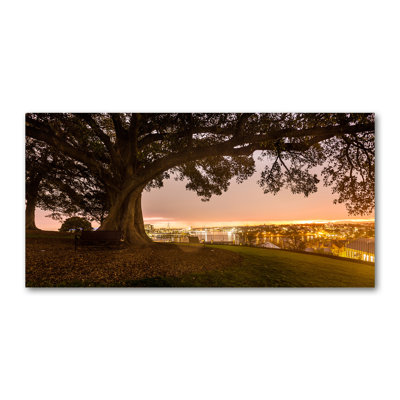 Old Tree - Wrapped Canvas Print