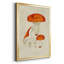 Mushroom Variétés, reproduction d'art sur toile-282466535-282466530