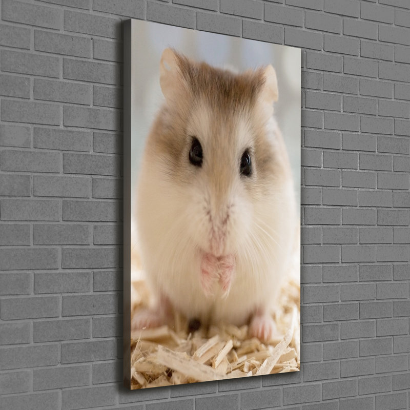 Hamster - Wrapped Canvas Print