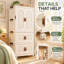 Portable Wardrobe for Kids,Plastic Foldable Closet with Wheels