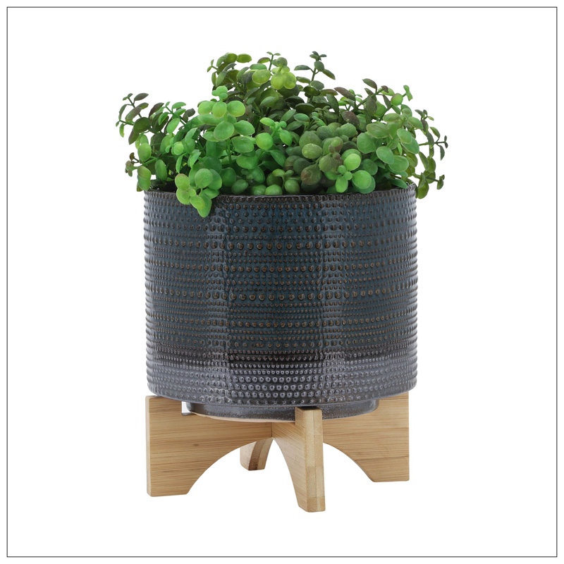 PLATTE À POIS 8 po AVEC SUPPORT EN BOIS, VERT