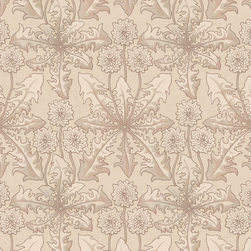 Taraxa Phlox Wallpaper