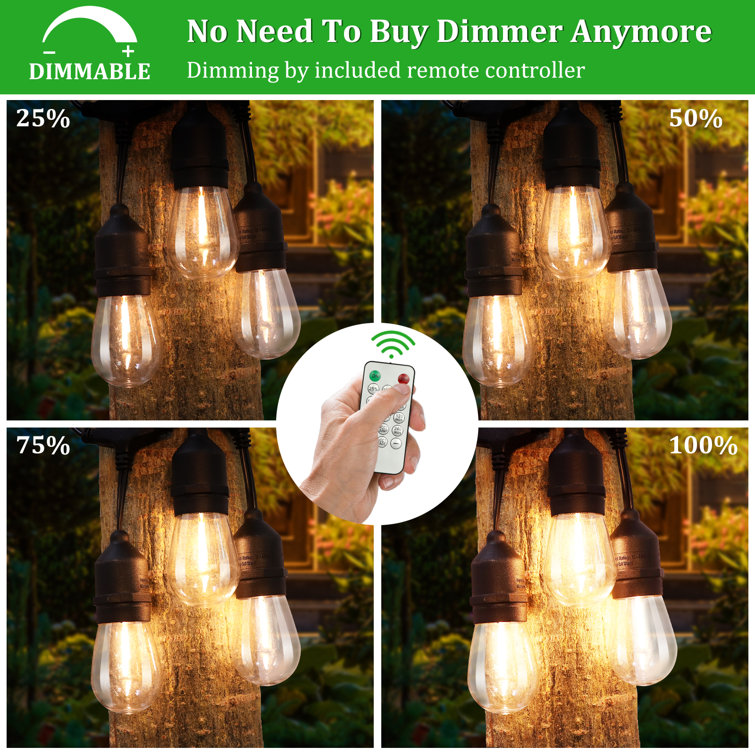 Pozzi 3 Color Dimmable 600 Outdoor Solar Powered 16 - Bulb Standard String Light with Remote Control Arlmont & Co.