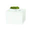 Cal-Mil Metal Display Riser Buffet Accessory