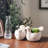 Alora Handmade Pot Planter
