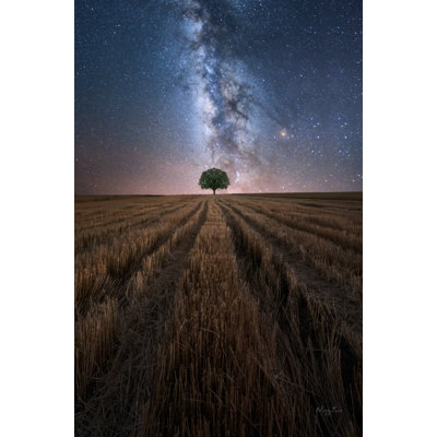 1 Piece Wrapped Canvas Wall Art