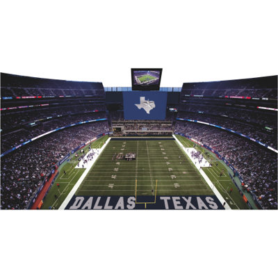H13709 Dallas Texas Football Stadium Lone Star State Field Cardboard Cutout Standee Standup