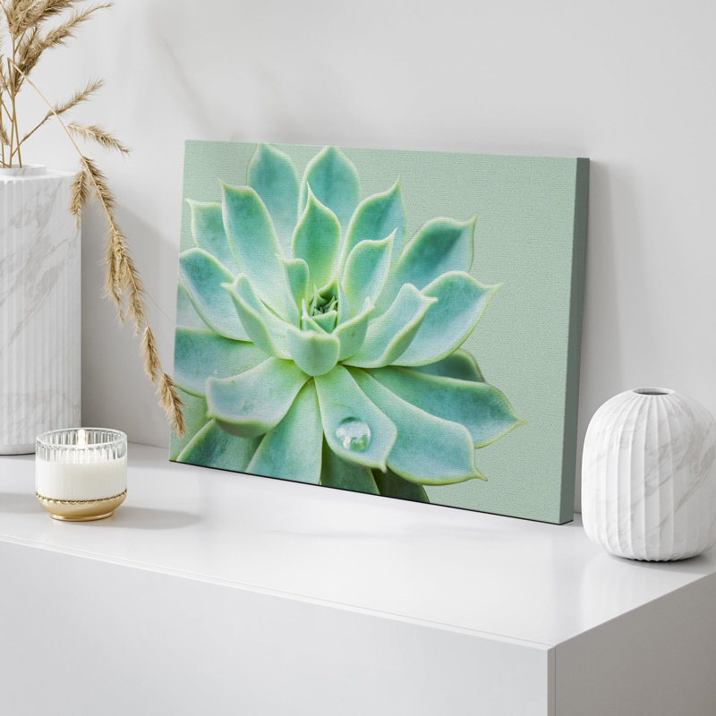 "Plante grasse avec goutte d'eau" sur toile, H 32 po x l 48 po