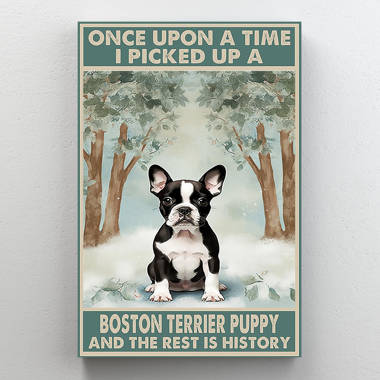 Mug Shot by Lucia Heffernan 16x16 Boston Terrier Naughty Dog -  Norway