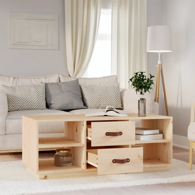 Schindler Solid Wood Solid Coffee Table with Storage, Brown