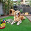 Tapis synthétique pour gazon synthétique Yescom-112556085-112556086