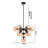 Stines 10-Light Black Chandelier with Glass Shades-29485575-29485576