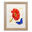 Jadaya «Gerbera Daisy», impression encadrée-20124574-20124575-70650512