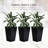 Outsunny Set Of 3 Tall Planters With Drainage Hole-1109833616