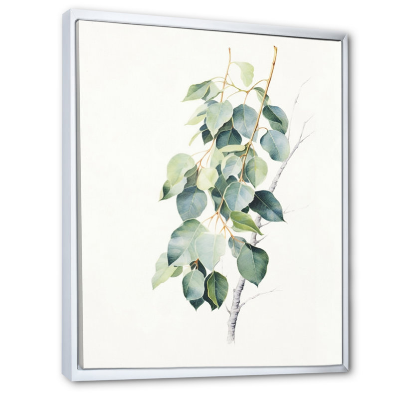 Vert, blanc, minimalisme, eucalyptus Essence II - impression, Cadre flottant blanc, H 40 po x l 30 po x P 1,5 po