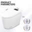 Bidet de toilette intelligent avec siège chauffant, affichage à DEL, buse autonettoyante, nuit, option occultante de la télécommande en céramique
