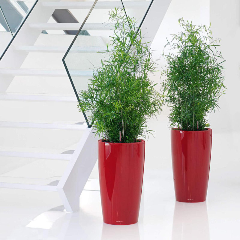 Rondo Pot Planter, 75 cm H x 40 cm W x 40 cm D, Scarlet Red