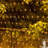 200 LED 9.8 FT x 6.6 FT Fairy String Light-1123386046