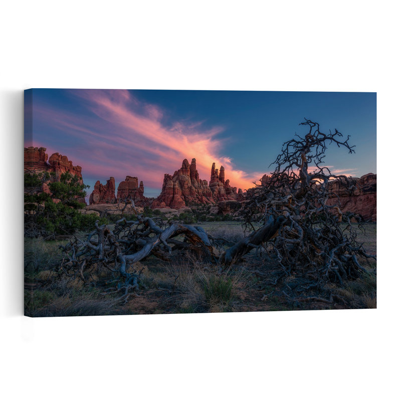 Arbre torsadé, désert, coucher de soleil coloré, paysage serein dramatique, impression d'art mural, H 18 po x l 12 po