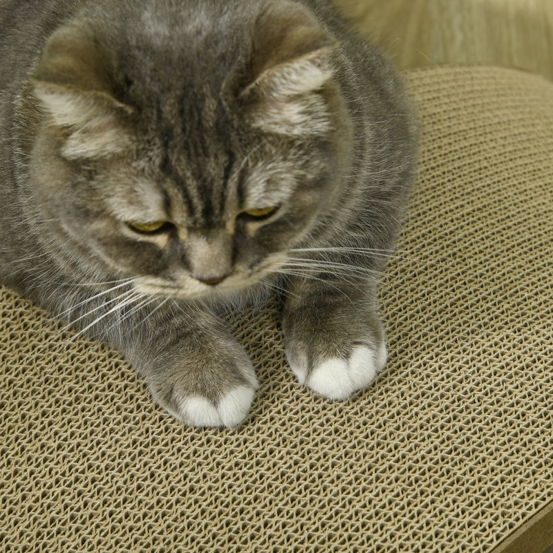 Scratching Post