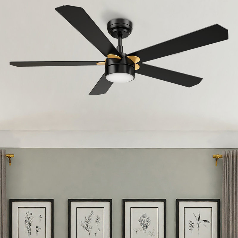 Amonni 52'' Ceiling Fan with LED Lights, Black