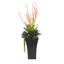 Plante grasse en pot