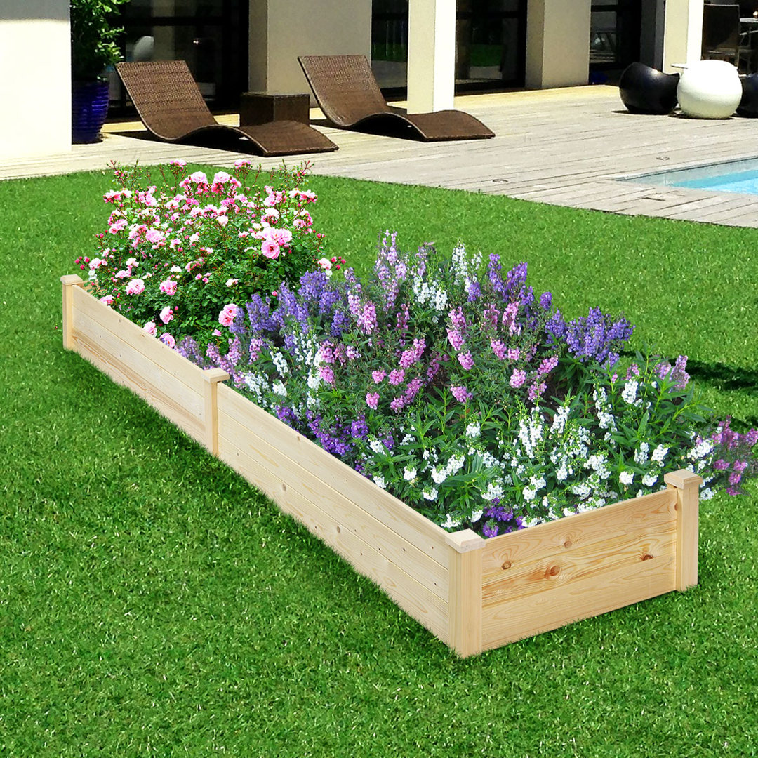 Swerve Wood Raised Garden Bed Gracie Oaks