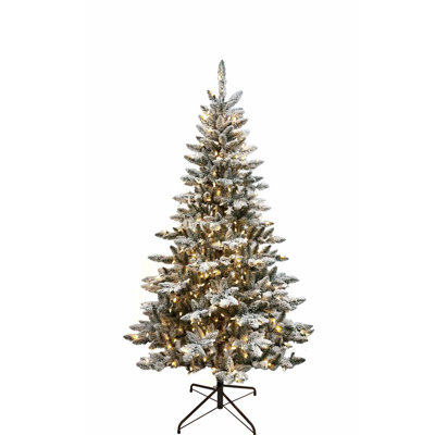 72' Lighted Pine Christmas Tree
