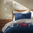 USA Gingham Lightweight Decorative Comforter Set-126335804