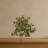 Mini Melon Artificial Plant UV Resistant