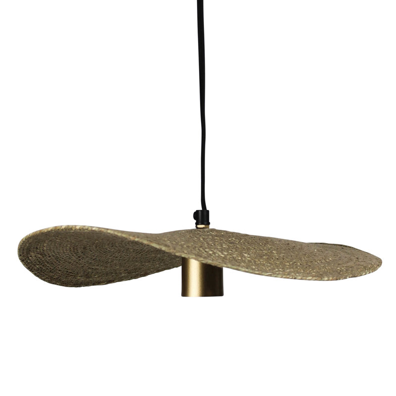 Luminaire suspendu simple à 1 lumière Asharie