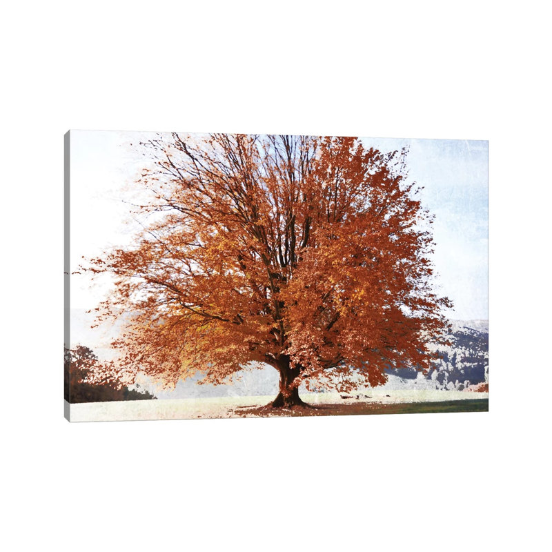Season Of Fall by Irene Weisz - Wrapped Canvas Print, 20.32 cm H x 30.48 cm W