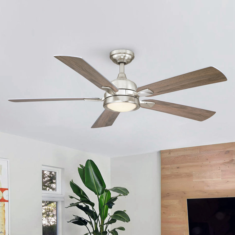 Carmille 52'' Ceiling Fan with LED Lights