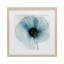 «Blue Promise Peony», reproduction d'art encadrée sous verre par Annabelle Hall-1459120970-1459120965