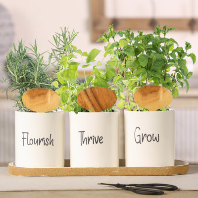 Haiqah Planter
