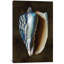 «Ocean Treasure I», impression sur toile-73202252-73202250-73202251