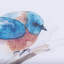 «Cardinal a Hand», reproduction d'art encadrée texturée matte sous verre-1782694922