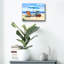Art mural en verre Dovecove «Made In The Shade» par Scott Westmoreland-205627599