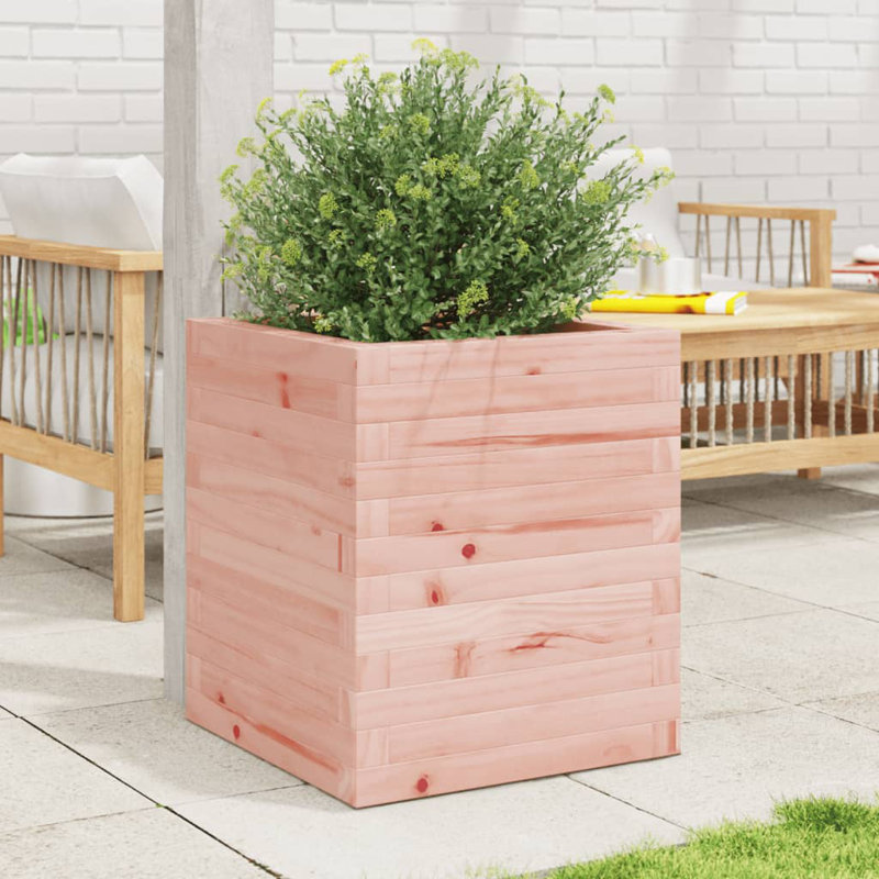Raised Garden Bed