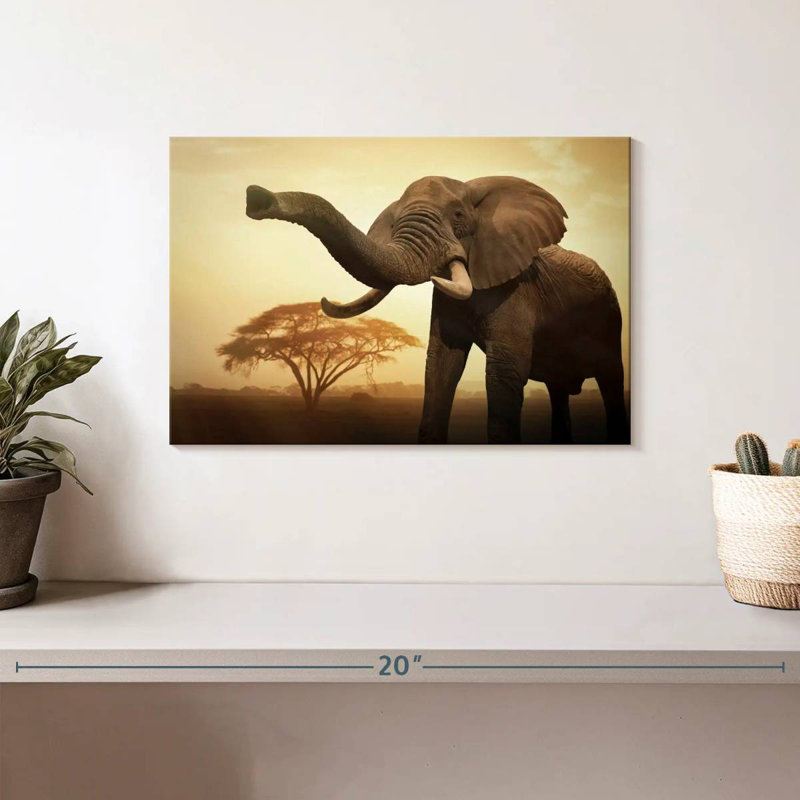 Éléphant d'Afrique Brampt, H 8 po x l 12 po