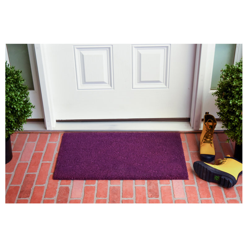 Tapis d'extérieur antidérapant Kasper, L 24 po x L 36 po, Mauve