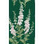 Graham & Brown Foxglove Midnight Wallpaper-896607651