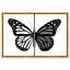 «Duality of a Monarch III», reproduction d'art acrylique encadrée par Art Remedy, cadre argenté, 30 x 20-791031264-791031285
