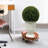 24'' Faux Boxwood Plant in Composite Pot