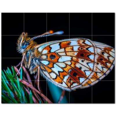 Murale décorative en céramique 6 po x 6 po Butterfly Photo