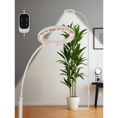Lumières de culture pour plantes d'intérieur, lumière de croissance à DEL à spectre complet, gradation continue, 3 modes d'éclairage et hauteur réglable, lumière de plante avec minuterie 3/9/12 / 16H (blanc, 24 W)