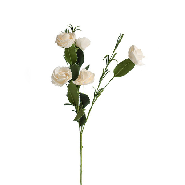 Tige roses
