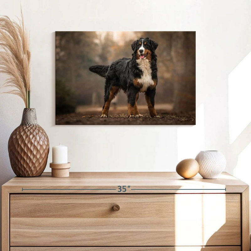 Brampt Bernese Mountain Dog, 16" H x 24" W