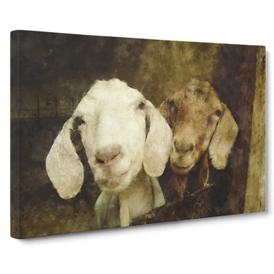 Pair Of Goats - Wrapped Canvas Painting