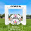 FORZA Micro Goal